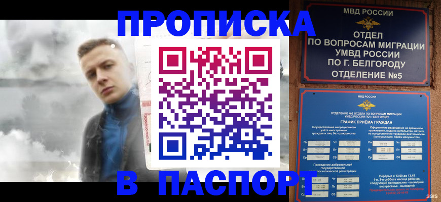 временная регистрация в Кашине